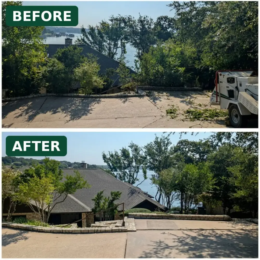 J Valdez Tree Services tree removal job, photo 2