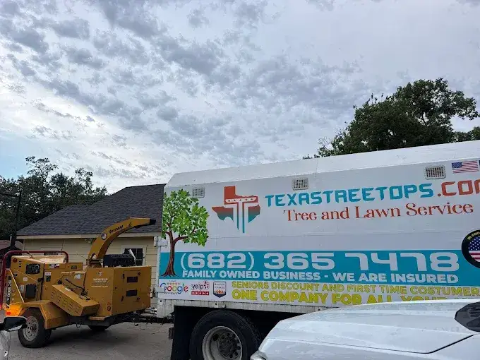 Texas Tree Tops tree removal job, photo 2